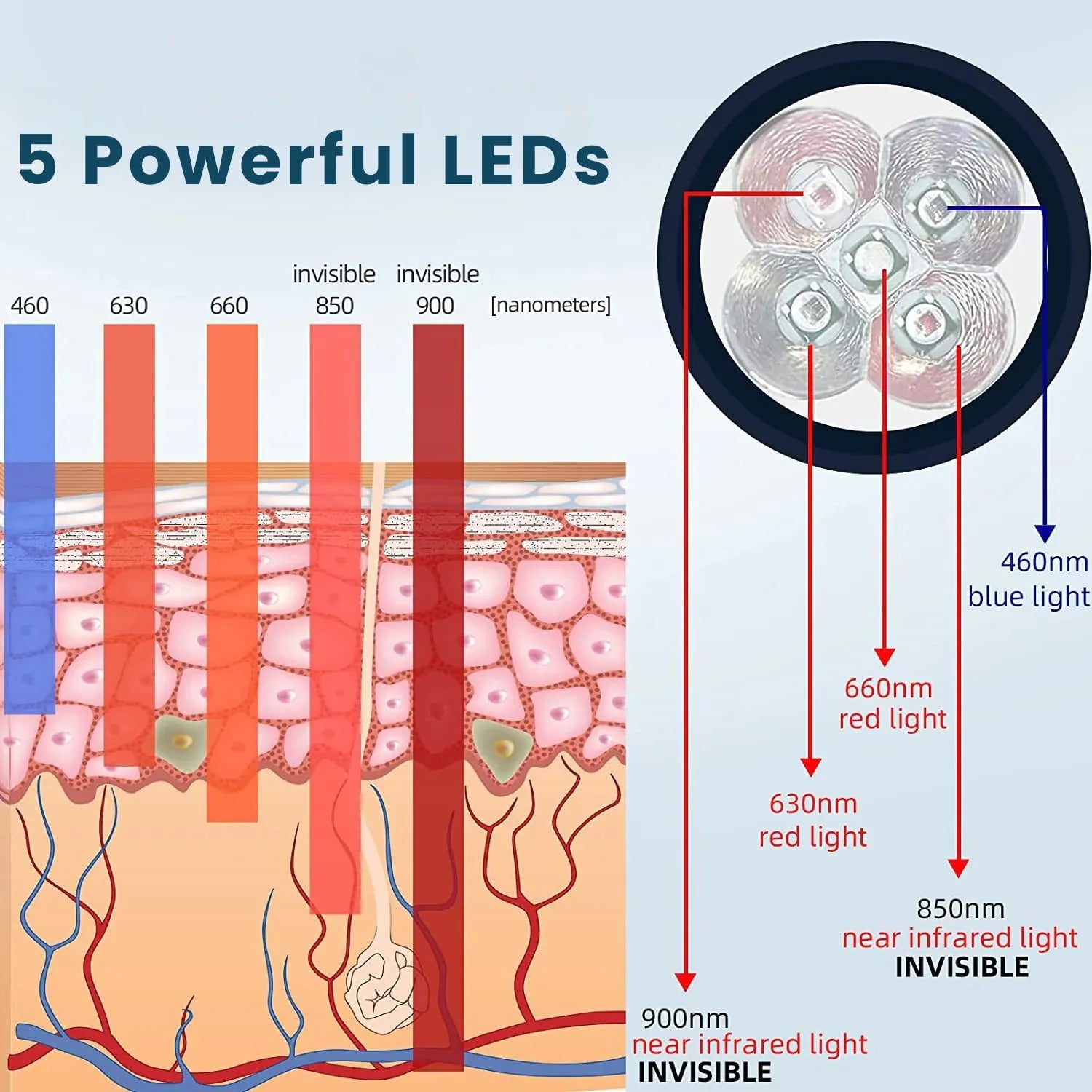 Chart showing LED light penetration depths at 460nm, 630nm, 660nm, 850nm, and 900nm for red, blue, and near-infrared therapy